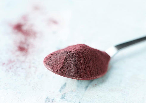 Mulberry 2 Food to Live Organic Juice Powder, Pounds - Non-GMO, Made from Raw Dried Berries, Unsulfured, Vegan, Bulk