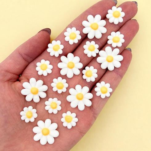 Icing Daisies | Edible Sugar Flowers | Daisy Cake Toppers | Edible