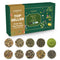 VAHDAM Assorted Green Tea Loose Leaf Tea Gift Set (10 Flavors) |