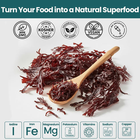 100% (1lb) Atlantic Dulse Flakes Organic Sourced Maine Coast Atlantic Ocean Sea Vegetables Raw Bulk - Pure