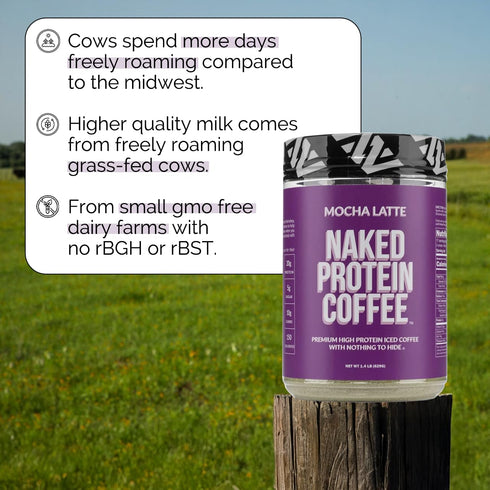 17 NAKED Mocha Latte Protein Coffee - Premium Colombian Iced Coffee Protein Shake Drink, Delicious Keto Friendly