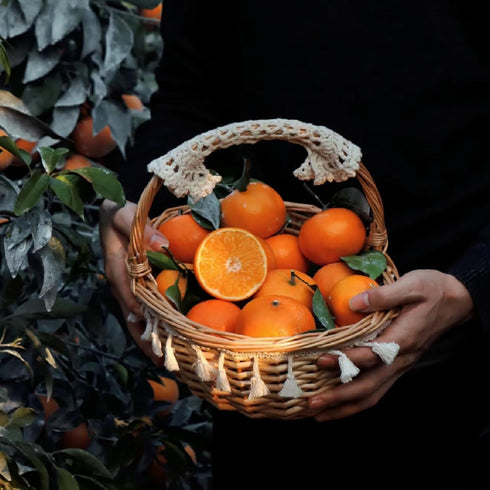 17.6oz(500g) TXDYNLLK Dried Orange Slices Dehydrated Oranges for Vibrant Cocktails, Festive Christmas Decor, Aromatic
