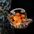 17.6oz(500g) TXDYNLLK Dried Orange Slices Dehydrated Oranges for Vibrant Cocktails, Festive Christmas Decor, Aromatic