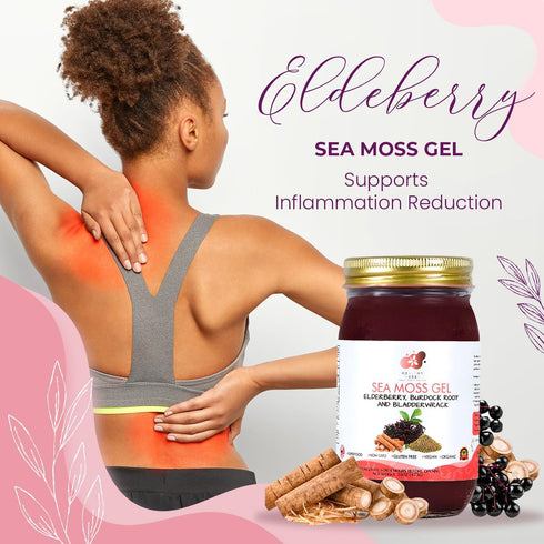 90 (16 oz.) Healthy Herbs Sea Moss Gel (Elderberry) Wildcrafted from Jamaican St Lucia Gold Seamoss | Wild-Harvested