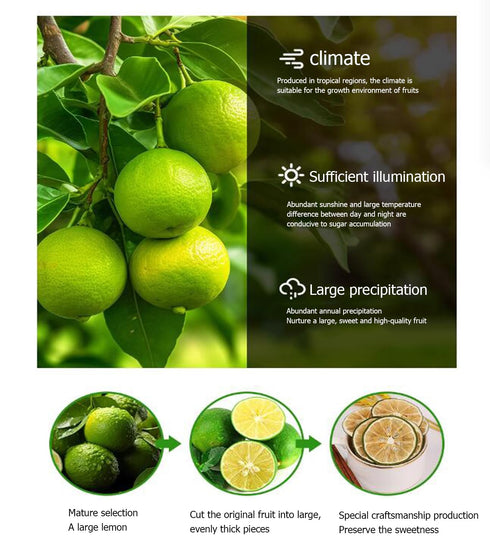 HanNainai 100% Snacks5.29ozResealable ,Drying Lime slices, Natural Dehydrated Key Lime Chips,No Sugar Added, Perfect