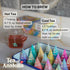 20 Counts, 4 Set, Lazika Tea Sampler with Lovely Presentation Box, of Each Blend Individually Wrapped, Black, Green