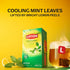 20 Lipton Smooth Mint with Lemon Peels Tea Bags, caffeine free Tea, Fruit and Herbal Tea, Individually Wrapped, Tea