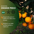 8 100% Worldwide Botanicals Organic Orange Peel, Granules ounces - Citrus sinensis Sweet Orange Rind, Pith & Zest