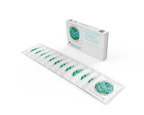 Pack 12 (12) Yogurt Starter Cultures - of Freeze-dried Culture Sachets for Bifido Yogurt