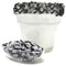 Snowy River Blackn White Sugared Salt Blend - Naturally Colored Margarita Salt