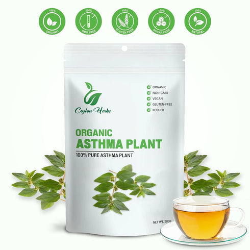 CEYLON HERBS 100% Astma Leaves Powder Euphorbia Hirta Natural Dried Leaves Finely Ground Pure & Clean Culinary Grade No