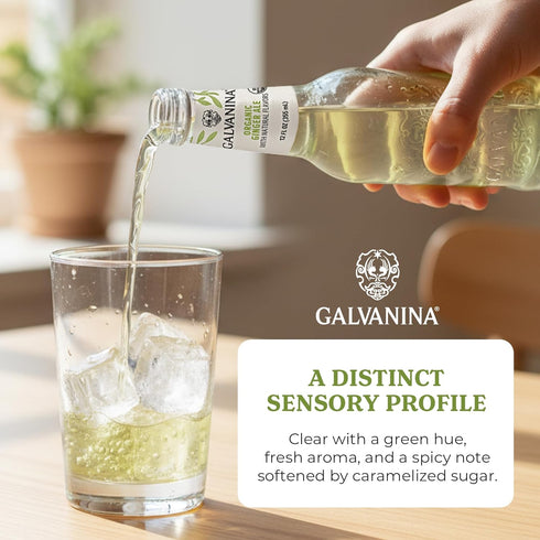 12 oz (6 Galvanina Ginger Ale Premium Organic Italian Sparkling Soda, fl Glass Bottles) | Crisp, Lightly Sweet Ginger
