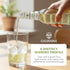 12 oz (6 Galvanina Ginger Ale Premium Organic Italian Sparkling Soda, fl Glass Bottles) | Crisp, Lightly Sweet Ginger