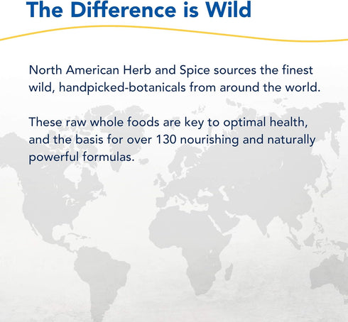 3.20-Ounce North American Herb and Spice, Chag-o-charge, Wild Forest Tea