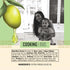 16.9 oz 500 ml Botticelli Organic Extra Virgin Olive Oil | | (Cooking)