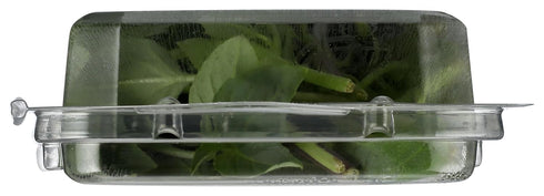 0.5 OZ Soli Organic Thai Basil