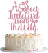 Mis Quince A Sweet Little Girl is on The Way Cake Topper, Pink Bow