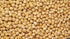 Packed 1 lb. (16 oz.) Chickpeas, Yellow single roasted, Tasty Snack, Plant-Based Protein, Versatile, Energy, Garbanzo