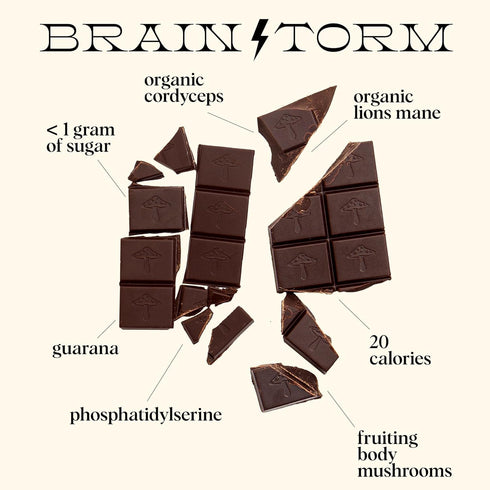 Alice Mushrooms Nightcap + Brainstorm Duo | Functional Mushroom Chocolates | Brainstorm Energy Bites for Focus, Clarity
