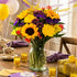 Benchmark Bouquets Flowering Fields Sunflower Bouquet - Mothers Day Flowers for Delivery - Mothers Day Gifts for Mom