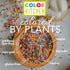 Color Kitchen Rainbow Sprinkles - Natural Ingredients for Baking, Ice Cream, Cookies, Gluten-Free, 3 OZ