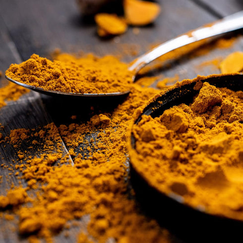GranAroma Turmeric Powder, 1.1 lb, Earthy Flavor, Versatile Spice for Curries & Soups