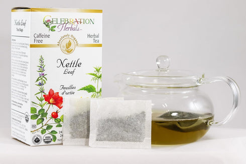 Celebration Herbals Organic Nettle Leaf Tea, Caffeine Free, Feuilles D'ortie - 24 Herbal Tea Bags