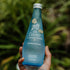 1 (12 325mL) Clearly Canadian Zero Sugar Citrus Medley Sparkling Water Beverage, Zero Sugar & Zero Calories, Case