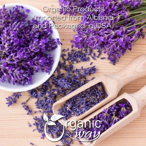 100% Albania (1 (Pack 1)) Organic Way Dried Lavender Flower Buds Whole (Lavandula) - European Wild-Harvest | USDA