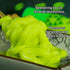 WSYLS 1 1.52 oz wasabi wasabi paste - Mildly Spicy - Squeeze Tube, x - Ideal for sushi, salads, and sandwiches.