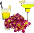 (50 Miami Fresh Orchid Flower OrchidClub USA Sunne Tropical Loose Bloom Head DIY Lei food drink decoration YELLOW