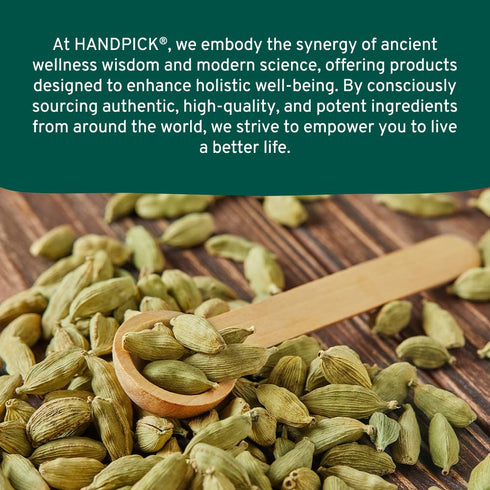 HANDPICK Green Cardamom Pods (57g / 2oz) | Large Size Green Elaichi, Pure Non-GMO Gluten Free from India