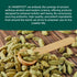 HANDPICK Green Cardamom Pods (57g / 2oz) | Large Size Green Elaichi, Pure Non-GMO Gluten Free from India