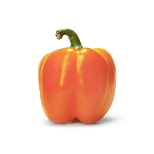 Fresh Produce Orange Bell Pepper