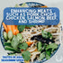 Set Pack GLP-1 Asian Seasonings Gourmet Gift | Tastes of Asia | Artisanal Spice Blends Six | Non GMO, All Natural | No