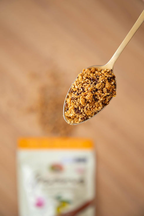 Santssimo Gro 25g 200g, Salty Granola Natural Granola, Vegan, High Fiber, Premium, Grain and Seed Mix, Protein