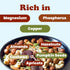 1 Food to Live Organic Active Life Trail Mix, Pound Raw and Non-GMO Snack Mix Contains Cashews, Pumpkin Seeds