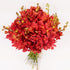 Athena's Garden 10 Athenas Garden Fresh Cut Orchids Stems Deep Red Mokara Cut Orchid Flowers