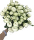 18 Stems White Spray Roses Fresh Cut Flowers White Mini Roses Florist