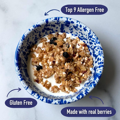 12oz Safe + Fair All American Granola Gluten-Free & Vegan Snack Whole Grain Oats with Real Strawberries, Blueberries