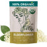 (10oz.) Elderflower Tea - Organic Dried Elderflowers - Elder Flowers Dried Herbs, Te de Sauco, Flor De Sauco Organico