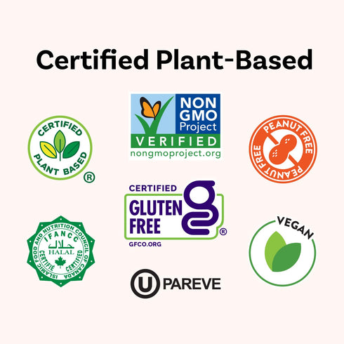 10.6 oz (Pack 8) Daiya Dairy Free Gluten Free Cheddar Deluxe Mac & Cheese, Vegan Plant Based Rice Pasta
