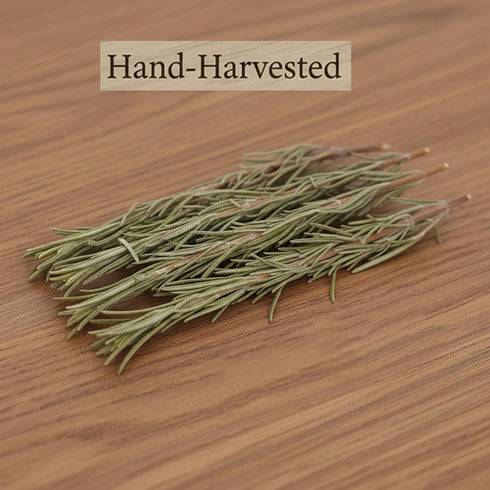 DYBOEDYO 3.53oz(100g), 50~70 Dried Whole Rosemary Sprigs, Rosemary Fresh Sprigs, Grade Dried Rosemary Sprigs for Baking