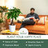 Charming Bonsai with Yellow-Tinted Leaves in Decorative Pot