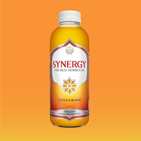 16 oz Immune SYNERGY The Real Kombucha - Gingerade - fl Bottle - Raw Probiotic Drink for Gut Health and Support
