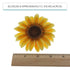 9 Count Global Sugar Art Sunflower Sugar Cake Flowers, by Chef Alan Tetreault