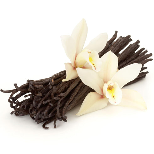 10 Comoros Vanilla Beans Whole Grade A Vanilla Pods for Homemade Vanilla Extract, Baking, Ice Cream, Flavoring