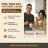 Pack 12 Pack 1416g Beef Cakes Protein Breakfast Variety Instant Protein Pancakes and Oatmeal Cups Protein, Beef