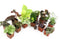 Altman Plants Live Houseplants (12PK), Indoor Plants for Delivery Prime, Live Plants