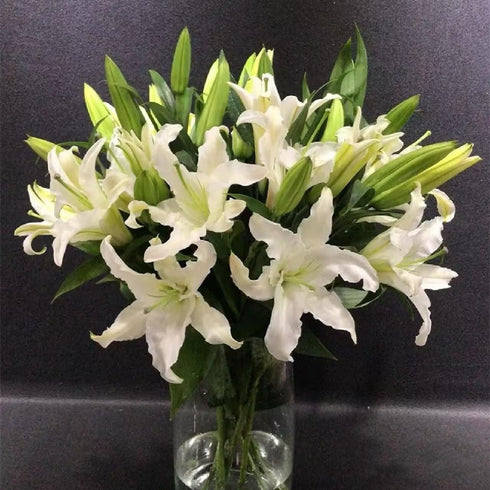 Cassiolina 0 Stems Fresh Oriental Lily Flowers Fragrant Lily Bouquet for Vase Home Decor Wedding Party Floral